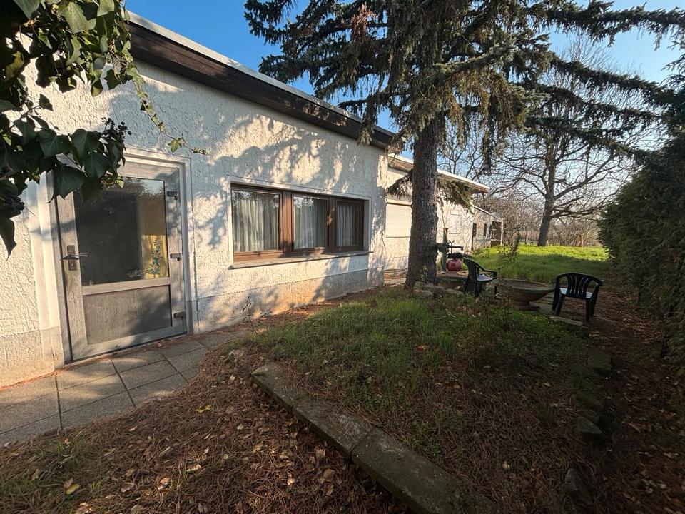 Thumbnail-EFH im Bungalowstil 100qm auf 2600qm Grundstück