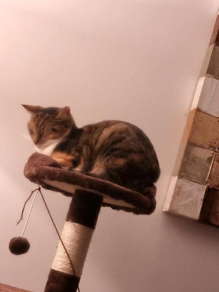 Thumbnail-Einfamilienhaus zu verkaufen