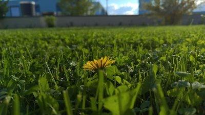 Thumbnail-Bad Homburg - Zentrum - 4 Zimmer EG-Wohnung mit Garten