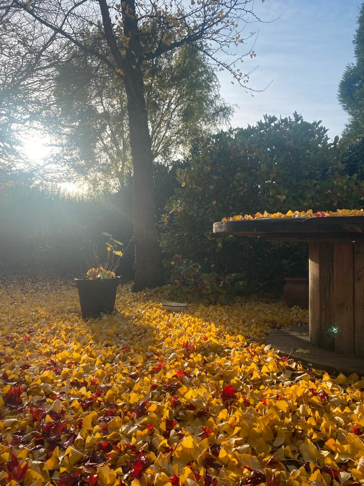 Thumbnail-Zimmer zur Untermiete