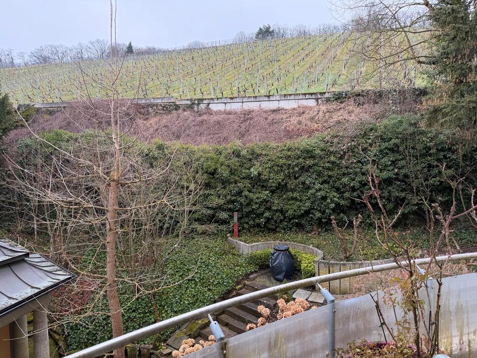 Thumbnail-Exklusive 3 Zimmer Wohnung am Neroberg Direkt am Weinberge