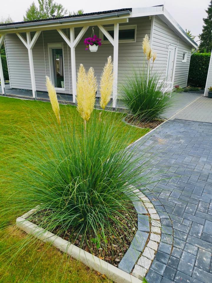 Thumbnail-Hochwertiges Haus 5 Jahre alt auf Campingplatz mit Erstwohnsitz