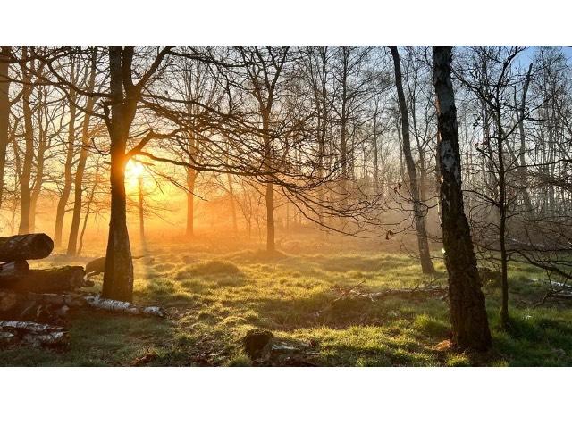 Thumbnail-Ferienwohnung in Bescheid- Wald Hunsrück (Wochenendgebiet)