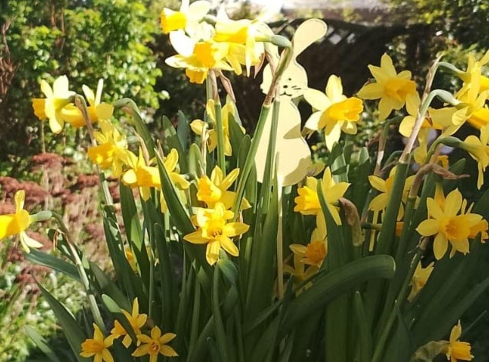 Thumbnail-Großzügige 4-Zimmer-Wohnung in 21271 Asendorf zu vermieten