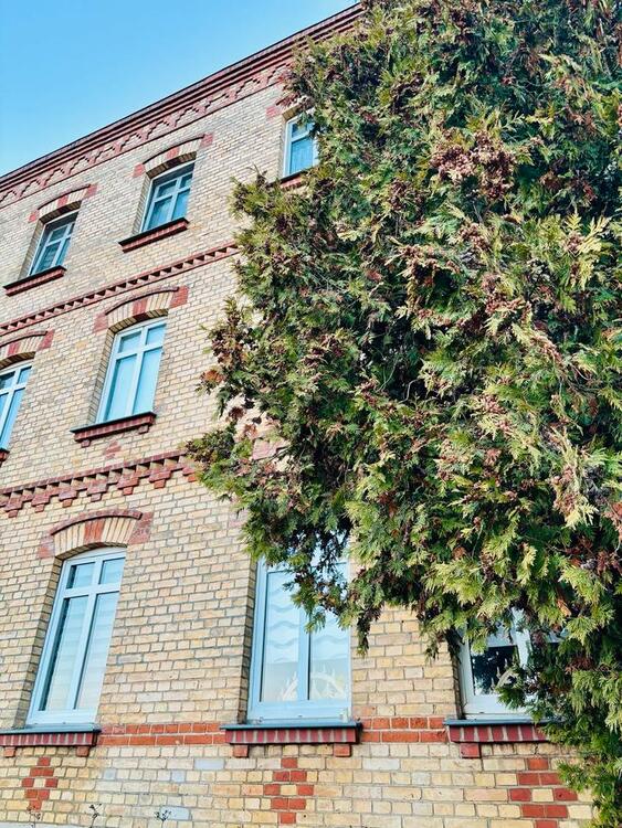 Thumbnail-Wohnung zu vermieten