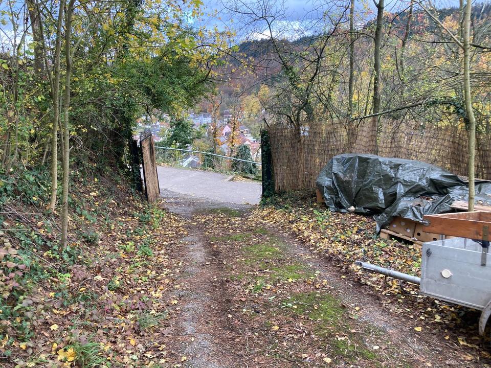 Thumbnail-Verkauf Freizeitgrundstück u. Waldgrundstück unterhalb Windeck