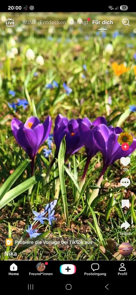 Thumbnail-ETW frei, Toplage Krefeld Verberg