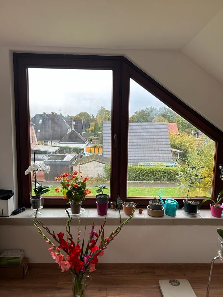 Thumbnail-Renovierte 3 Zimmer-Wohnung