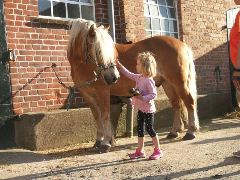 Thumbnail-Ostsee Fehmarn Ferienhof Ferienwohnung Ponyreiten Spielscheune