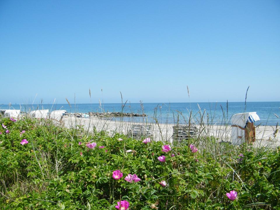 Thumbnail-Ab sofort und Ostern Ferienwohnung an OstseeSchlei (2 Pers.)