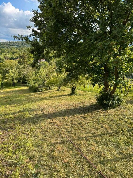 Thumbnail-Garten in Stuttgart Feuerbach am Horn