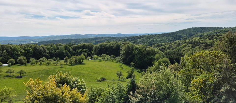 Thumbnail-2,5-Zi.-Whg in ruhiger, naturnaher Lage Johannesberg- Breunsberg