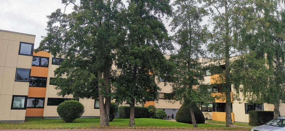 Thumbnail-Sonnige 1-Zimmerwohnung im Mittelweg