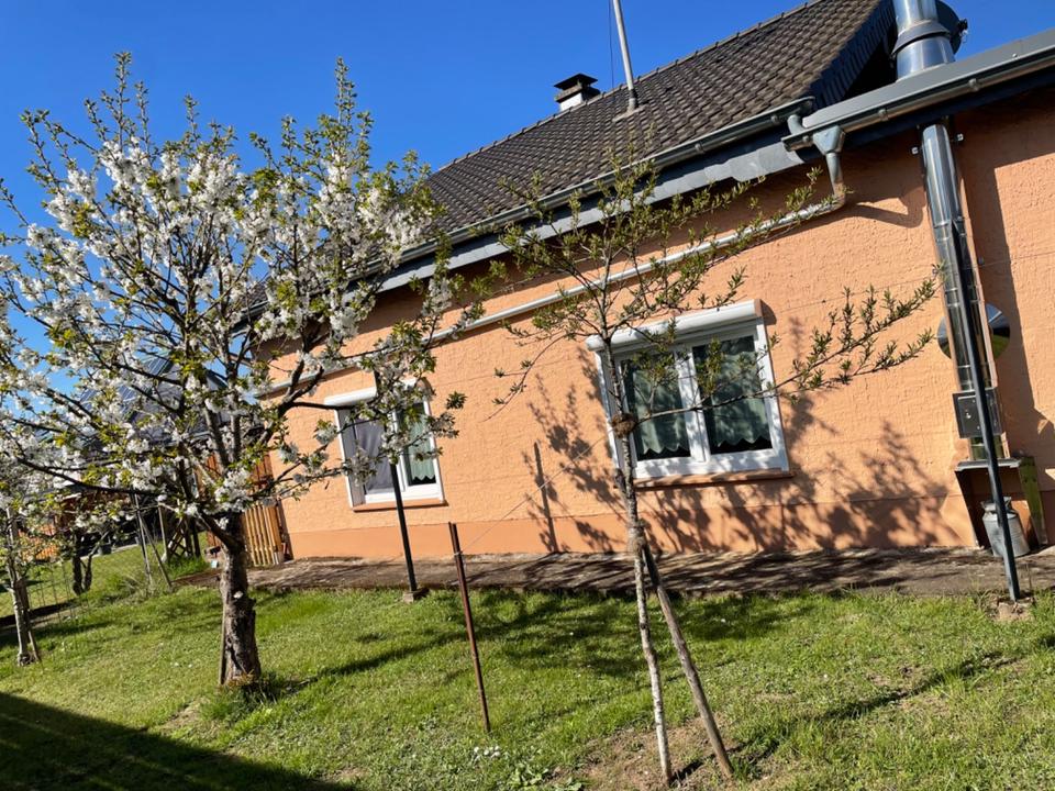Thumbnail-Schöner Bungalow in Noswendel