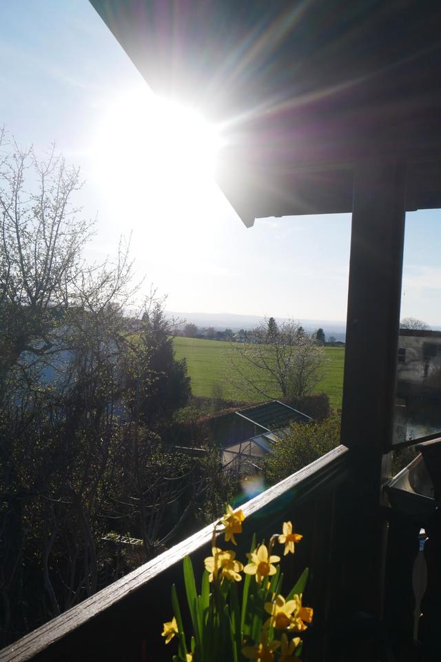 Thumbnail-Ferienwohnung