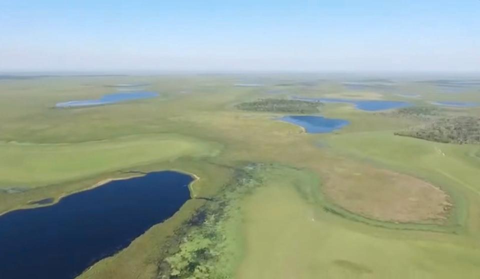 Thumbnail-Investitionsmöglichkeit: 1.200 Hektar in Ñeembucú, Paraguay