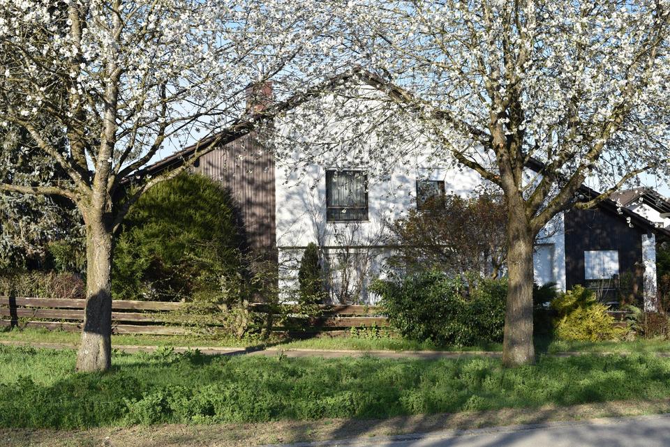 Thumbnail-Haus, Repräsentatives Einfamilienhaus in ruhiger Lage