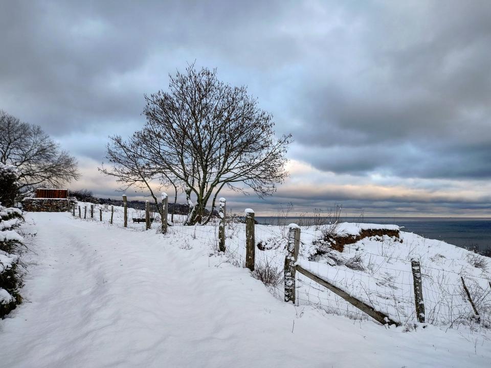 Thumbnail-Ferienwohnungen, Bungalow,Ostsee,mit Kind und Hund