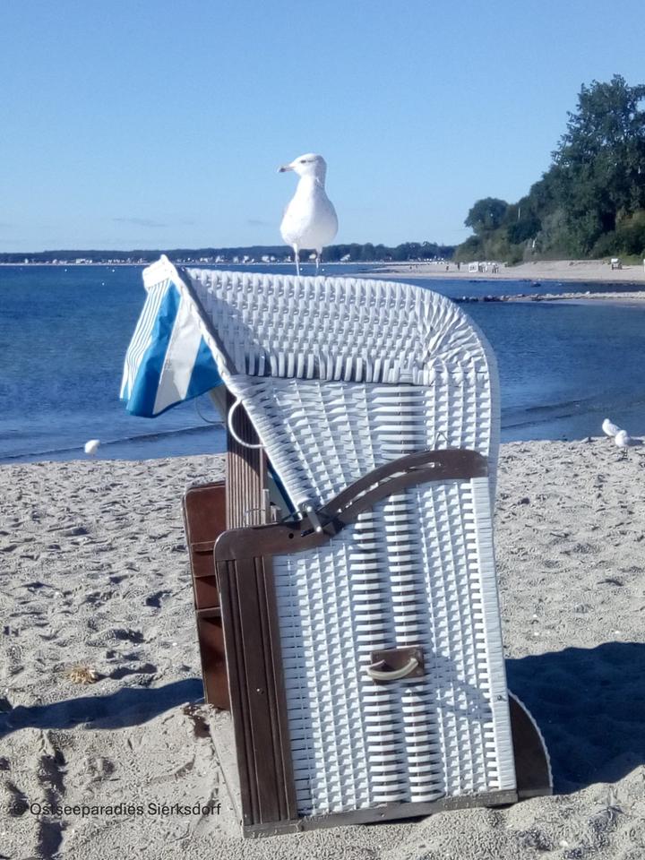 Thumbnail-Ferienwohnung Sierksdorf Ostsee Strand Hansapark bis 4 Pers