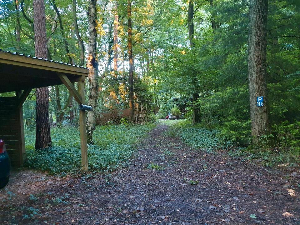 Thumbnail-Waldhütte auf 3000qm Waldgrundstück