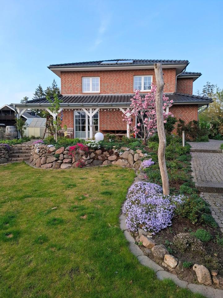 Thumbnail-Modernes Einfamilienhaus mit Pool und Carport in Südergellersen