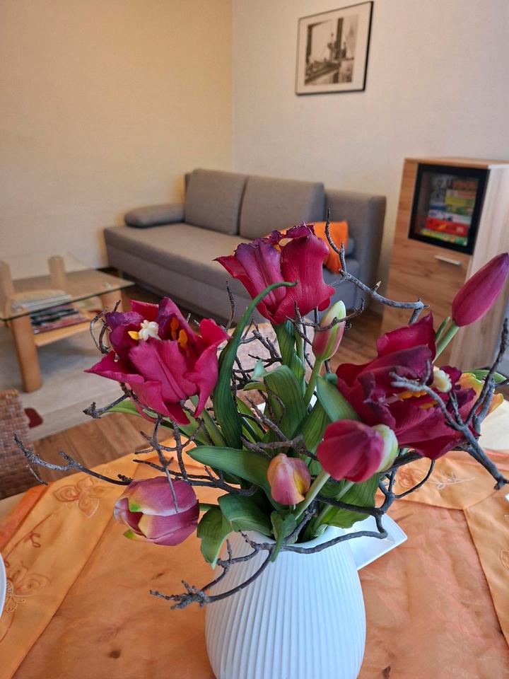 Thumbnail-Fewo Ferienwohnung am Eingang zum Kohrener Land – 60 m²