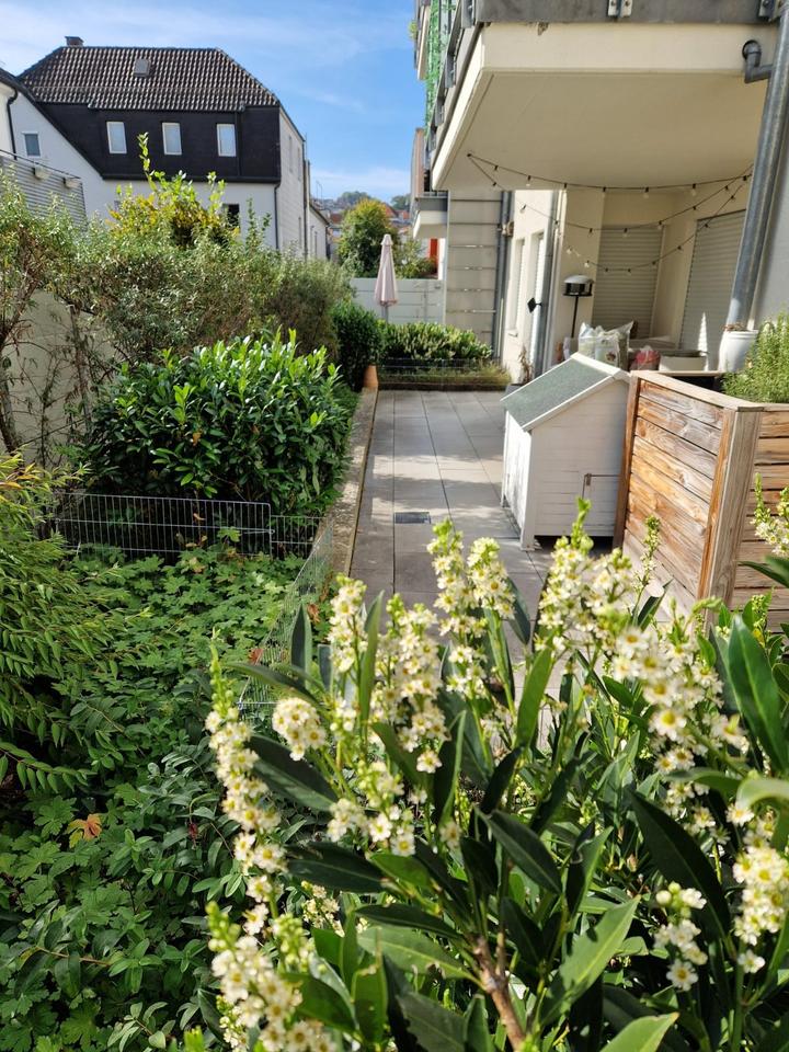 Thumbnail-3-Zimmer Eigentumswohnung, Erdgeschoss - Hochparterrre