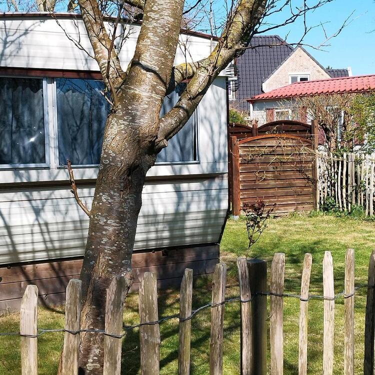 Thumbnail-Mobilheim im *****Park de Krim auf Texel