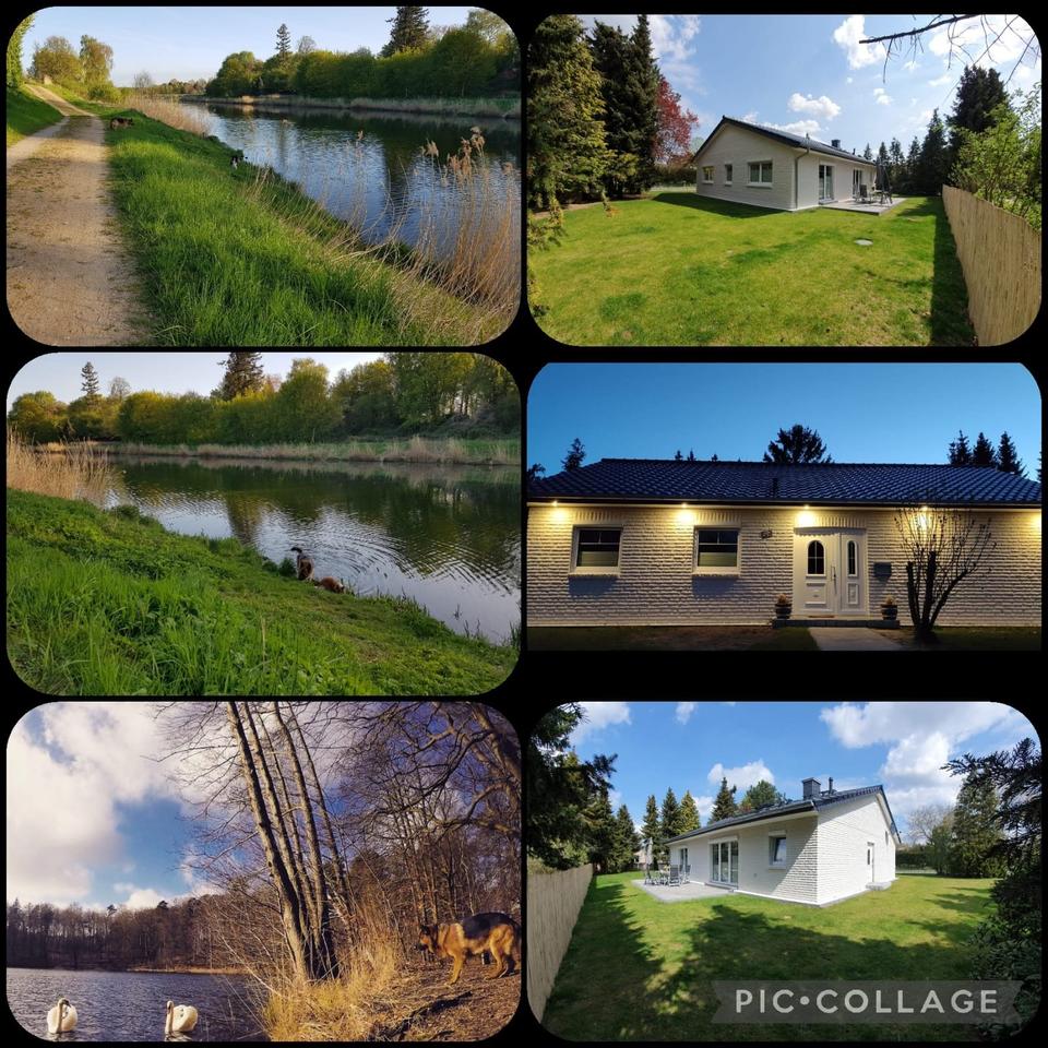 Thumbnail-Urlaub mit Hund - Ferienhaus - Schleswig Holstein Hamburg Güster