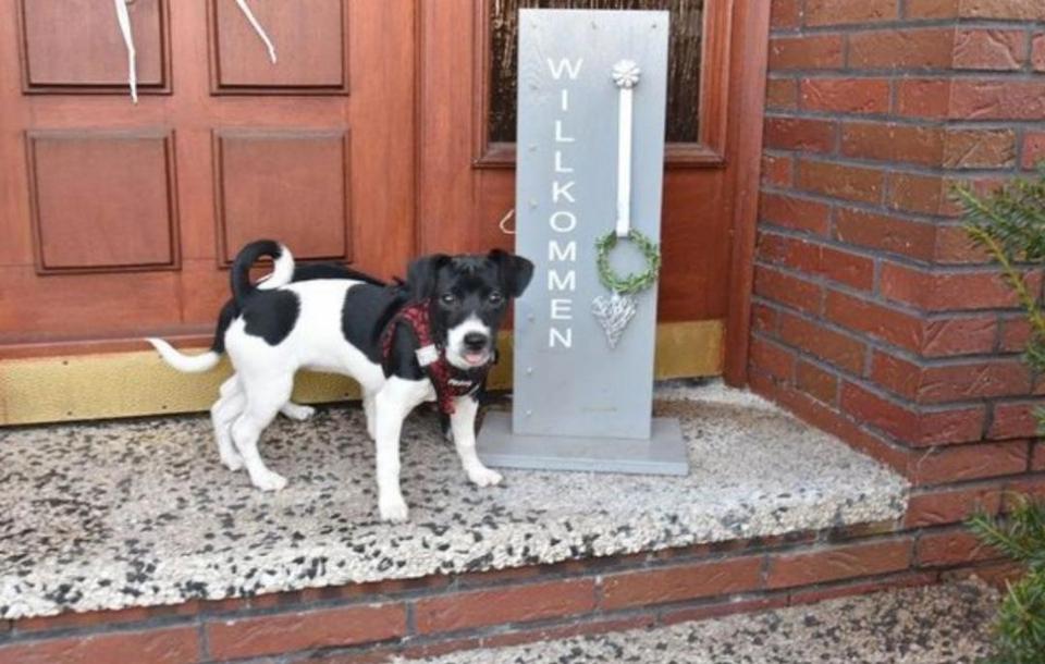 Thumbnail-Ferienwohnung Monteurswohnung Westoverledingen Ostfriesland