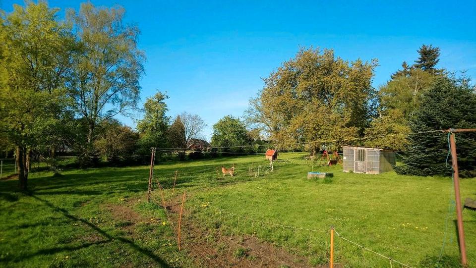 Thumbnail-Haus für Tier- und Naturfreunde, Grundstück 4100 m²