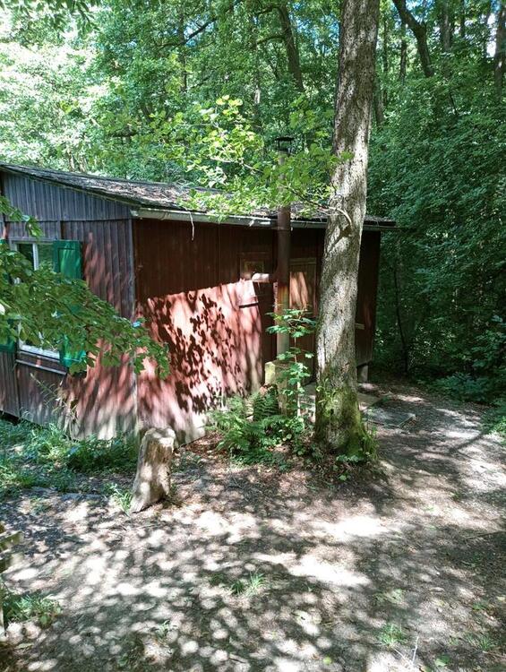 Thumbnail-Waldhütte Ferienhaus Wanderhütte abgelegen Waldbaden Holzhütte