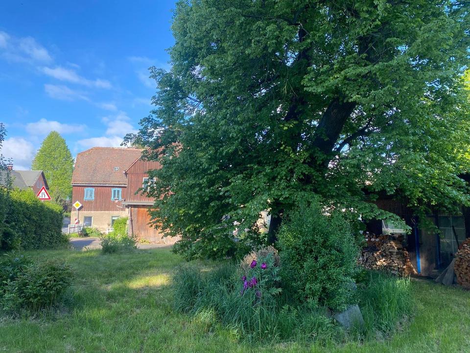 Thumbnail-Denkmalgeschütztes Haus mit großem Garten - Sanierungsprojekt