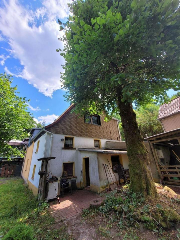 Thumbnail-Kleinod in idyllischer Außenbereichslage mit Scheune, 7 ha