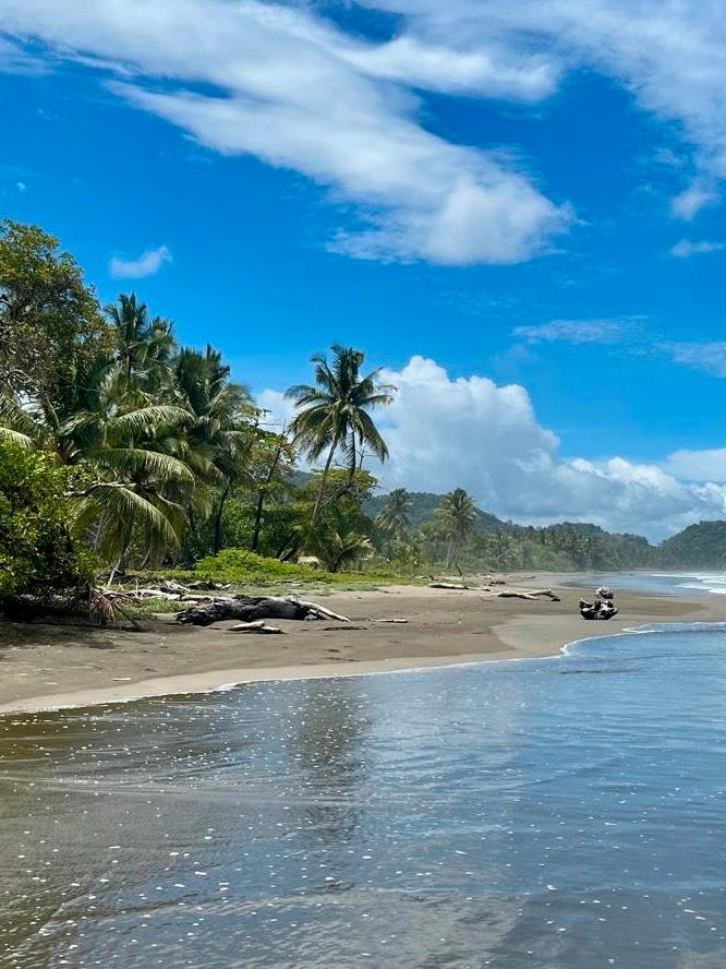 Thumbnail-COSTA Rica Appartment 400 m vom Strand mit Gartennutzung langfristig zu verm. ☎️ 0