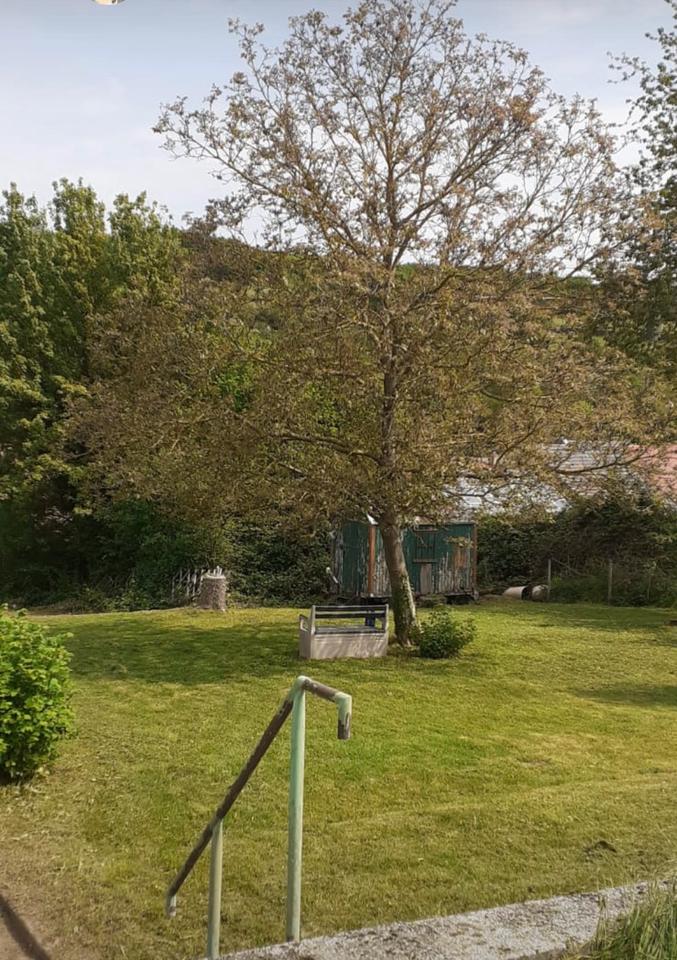 Thumbnail-Bauernhaus mit großem Grundstück Grafschaft