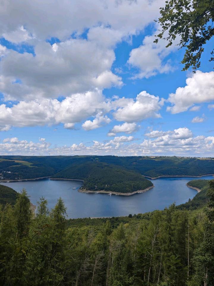 Thumbnail-Ferienwohnung Waldblick 2 in Simmerath für 4 Pers. & max. 2 Hunde