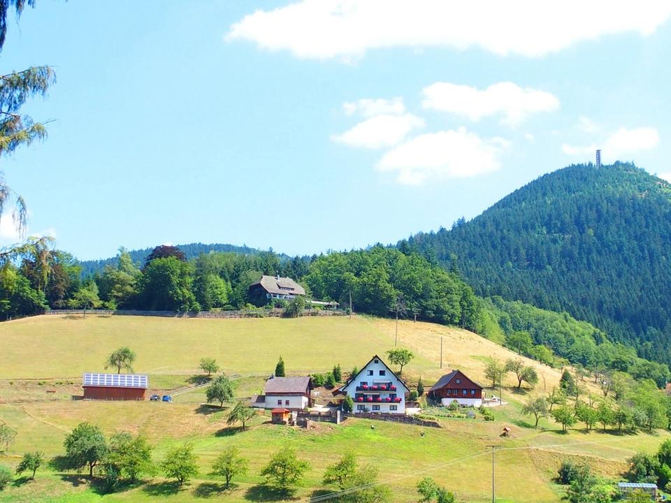 Thumbnail-Müllerbauernhof-Ferienwohnung-Ferienhaus-Urlaub im Schwarzwald