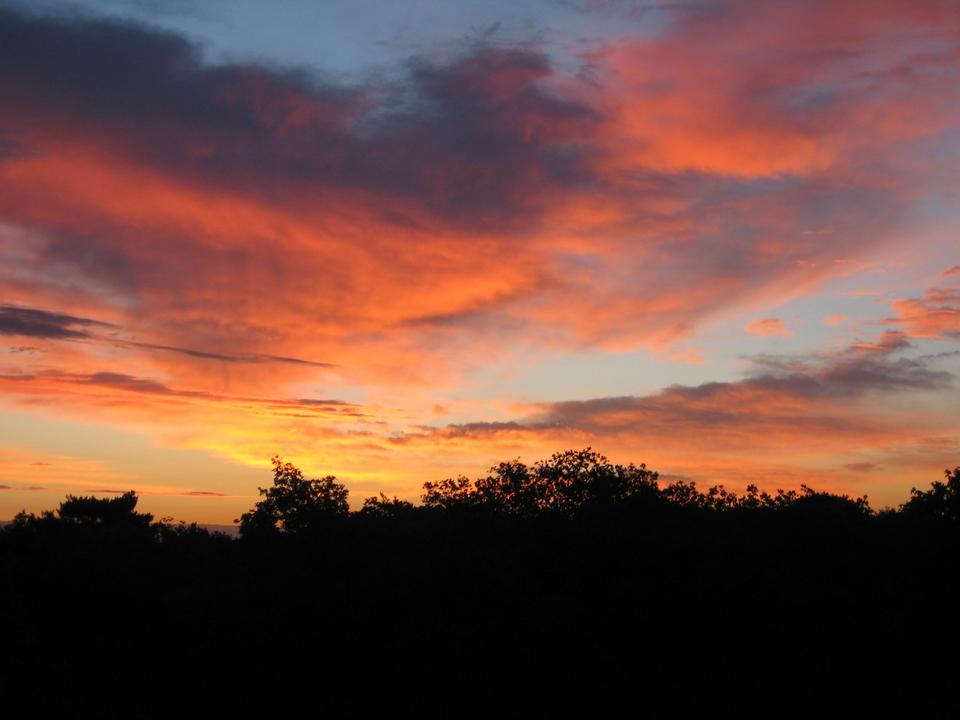 Thumbnail-Appartement mit Waldblick in Wegberg.