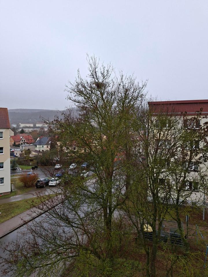 Thumbnail-Großzügige 4-Zimmer-Wohnung mit Wohlfühlfaktor in Sondershausen