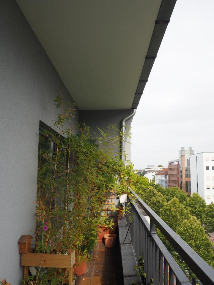 Thumbnail-3-Zimmer Wohnung mit Balkon in der Dortmunder Innenstadt!