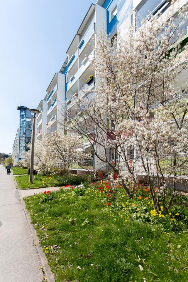 Thumbnail-Gestalten Sie mit! Ihre individuelle 3-Raum-Wohnung