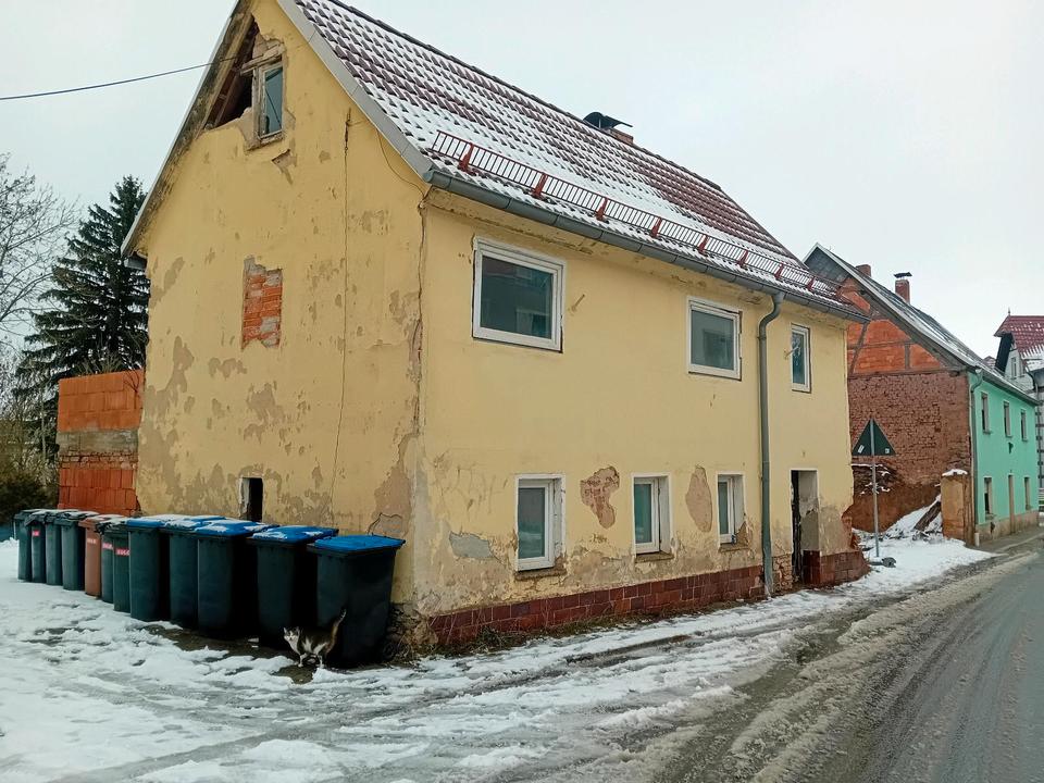 Thumbnail-Renovierungsbedürftiges Haus