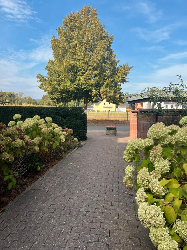 Thumbnail-Ruhige 2 Zimmer Wohnung - komplett saniert