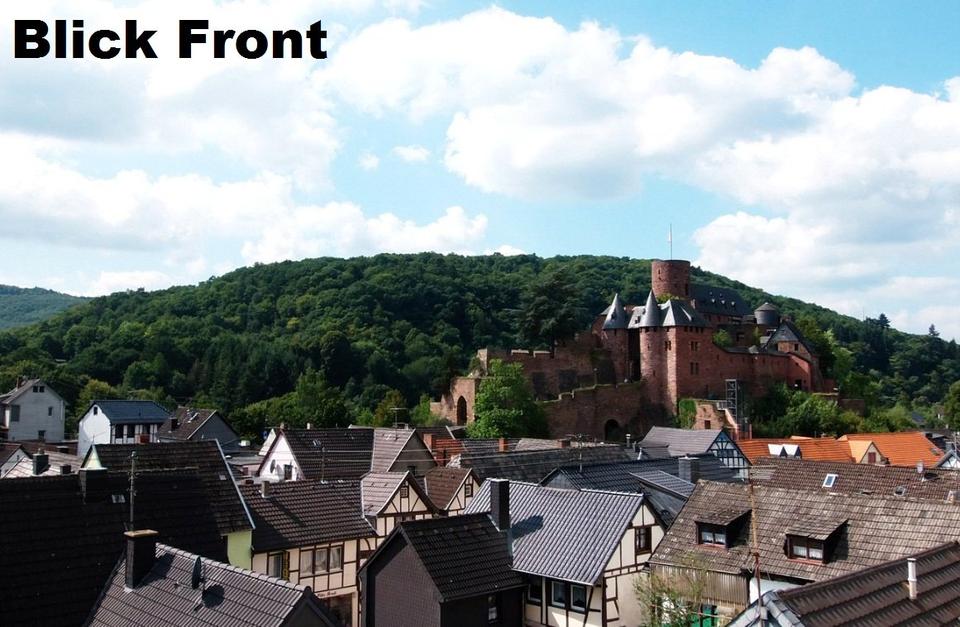 Thumbnail-1-2 FH Eifel! LUFTKUR-Ort 5! Terrassen Burg-Blick 99T + Renov.!