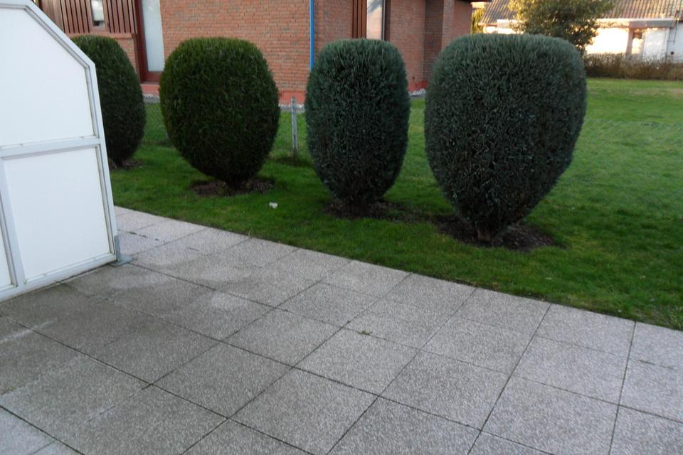 Thumbnail-Apartment mit Süd-West-Terrasse in Vechelde