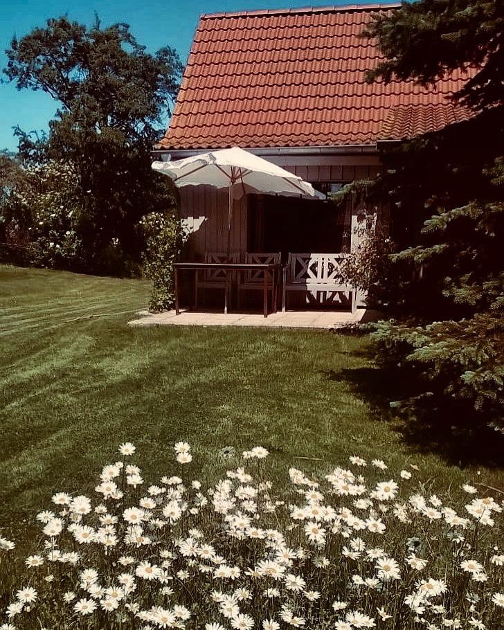 Thumbnail-Ferienhaus in MV Oktober Angebot 65€