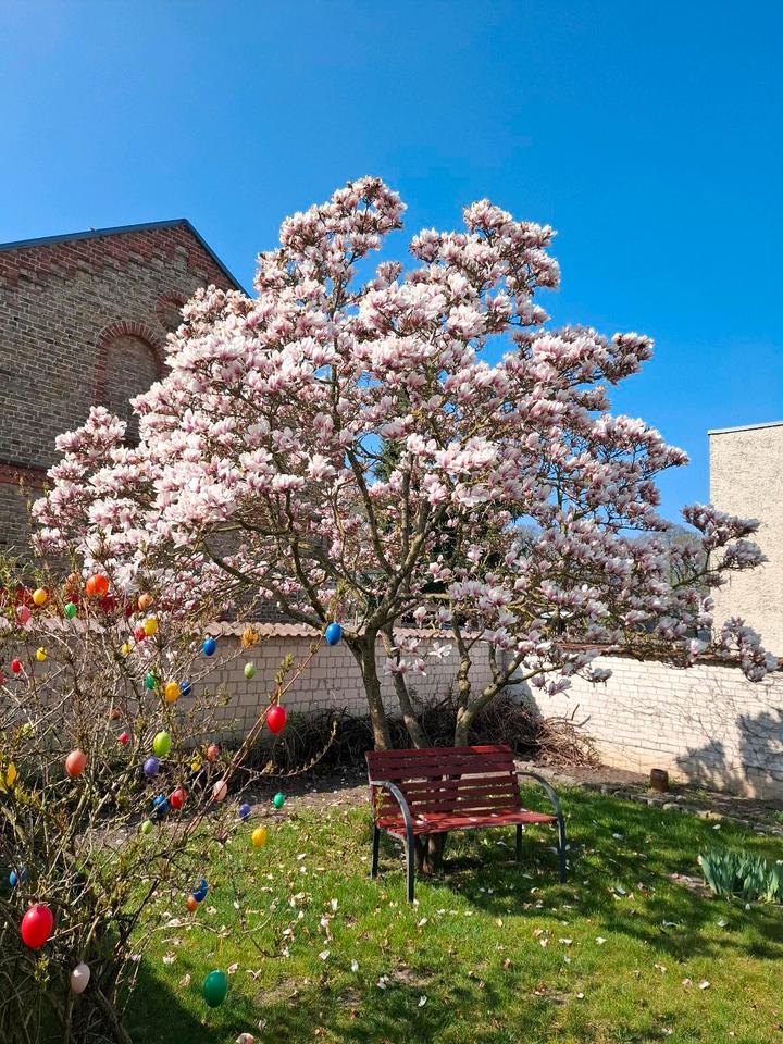 Thumbnail-Vermietung Ferienwohnung DG mit Balkon