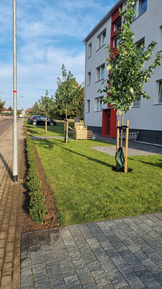 Thumbnail-großzüge 2 Raumwohnung mit Option auf 3 Raum in Irxleben