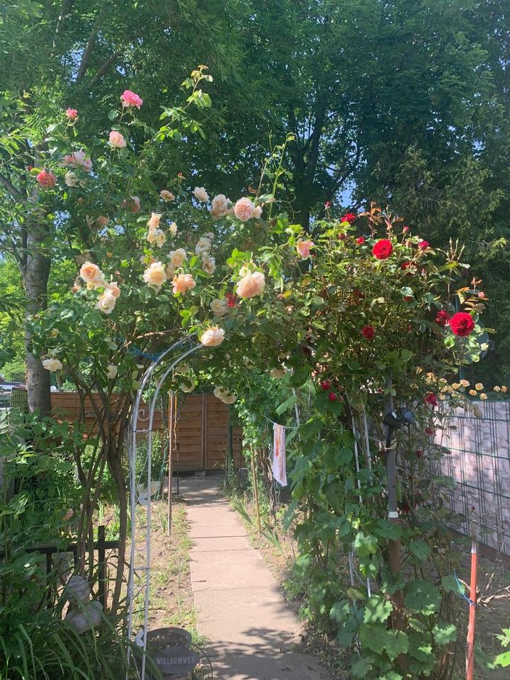 Thumbnail-Sanierungschance in Top-Lage von Eschweiler – Gestalten Sie Ihr T